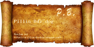 Pillis Bódog névjegykártya